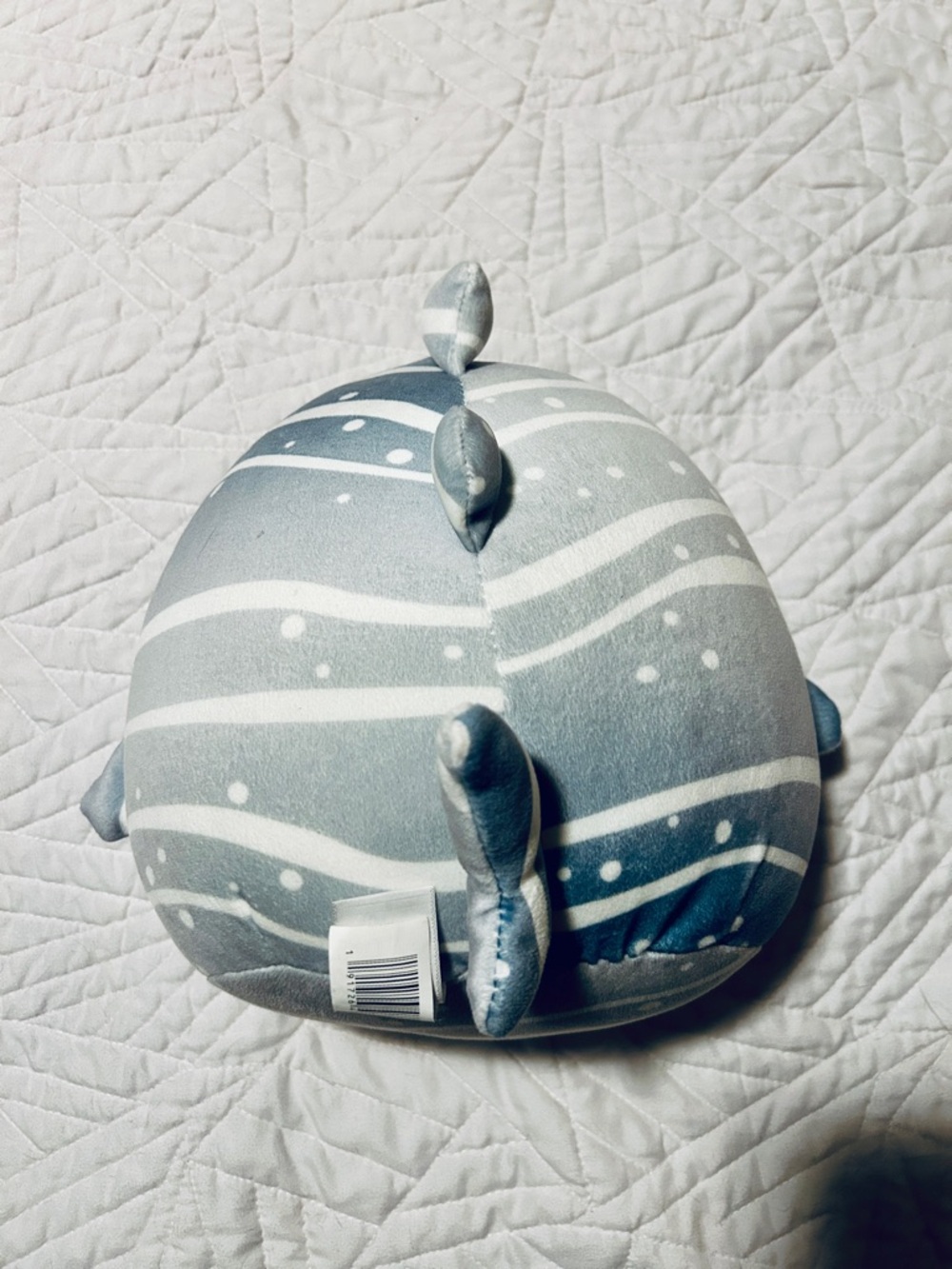 Sachie Shark Squishmallow Plush - Picture 2 of 5